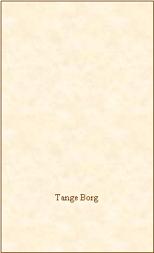 Tekstboks: Tange Borg 